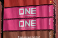 One-Container 8716.jpg